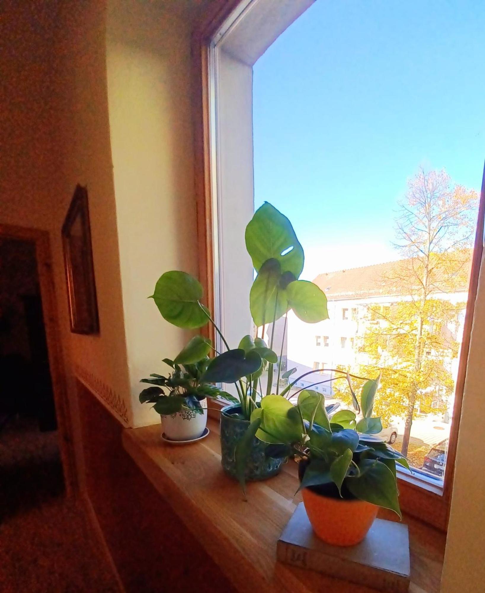 Ferienwohnung Antik Gotha Exteriör bild