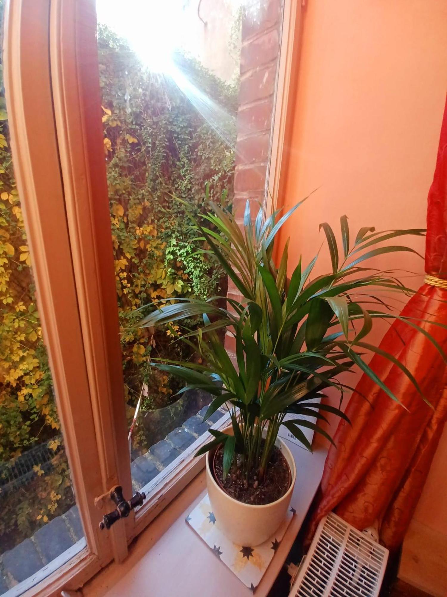 Ferienwohnung Antik Gotha Exteriör bild